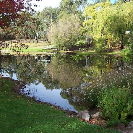 Granite Gardens Cottages & Lake Retreat Stanthorpe Exteriör bild