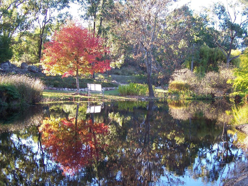 Granite Gardens Cottages & Lake Retreat Stanthorpe Exteriör bild