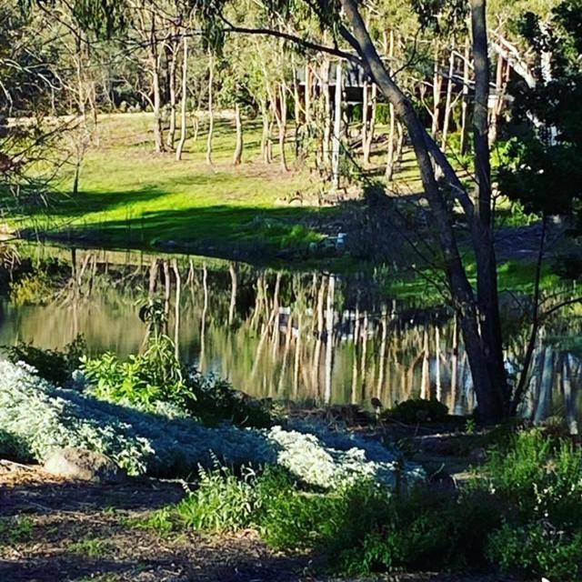 Granite Gardens Cottages & Lake Retreat Stanthorpe Exteriör bild