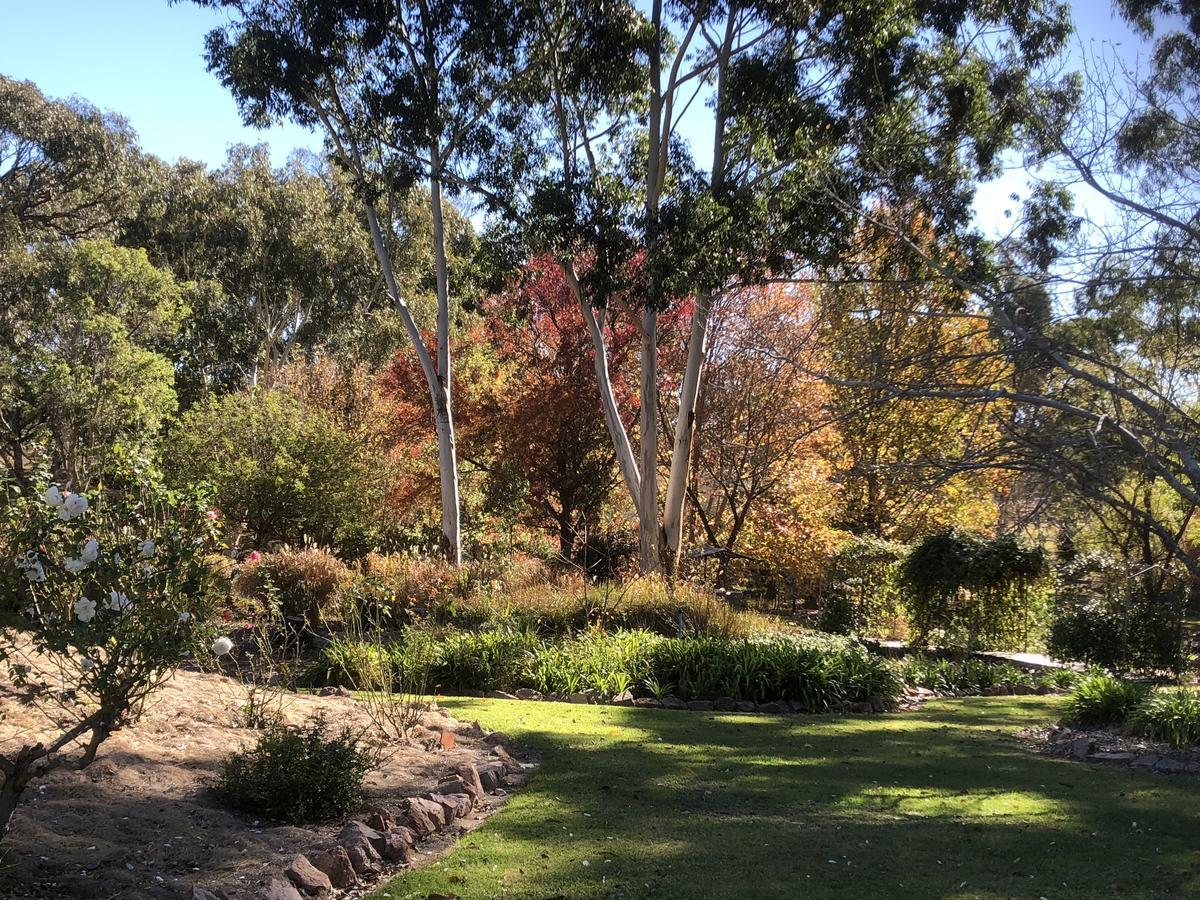 Granite Gardens Cottages & Lake Retreat Stanthorpe Exteriör bild